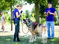 Adoptuj Warszawiaka  Wydarzenie promujące adopcję zwierząt. Organizator: Schronisko dla Bezdomnych Zwierząt "Na Paluchu". 18 sierpnia 2019, Park Raszyński w Raszynie. : park raszyński, adoptuj warszawiaka, na paluchu, schronisko dla zwierząt, centrum warszawy, raszyn
